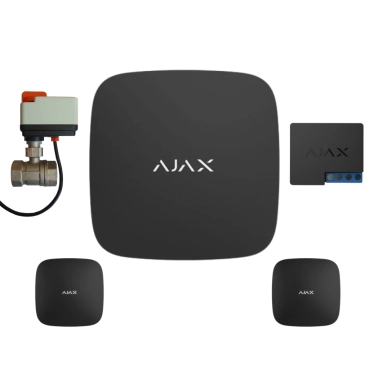Комплект антипотоп 3/4” Tervix Pro Line ORC2 220В, Ajax Hub 2, 2 датчика протечки LeaksProtect, реле WallSwitch