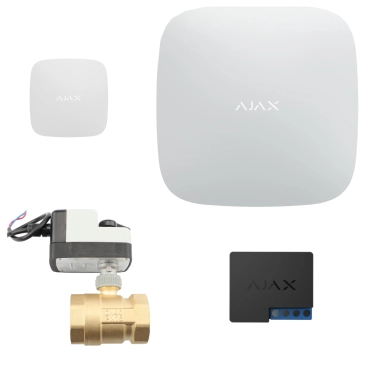 Комплект антипотоп 1/2” кран с самовозвратным приводом Tervix Pro Line ZERG 220В, централь Ajax Hub, 1 датчик протечки Ajax Leaks, реле WallSwitch
