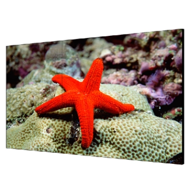 55” екран для відеостіни Hikvision DS-D2055LU-Y