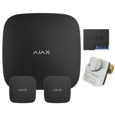 Комплект антипотоп 1/2” кран Tervix Pro Line ORC 220В, централь Ajax Hub, 2 датчика протечки Ajax Leaks, реле WallSwitch