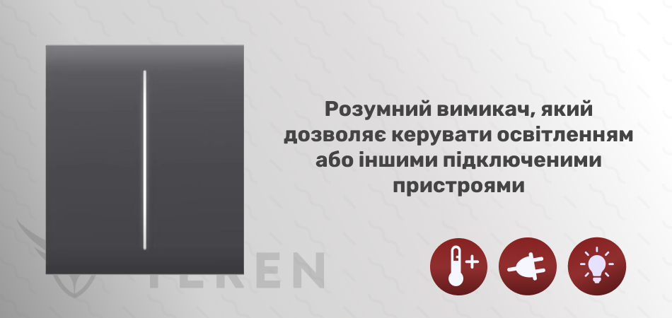 Кнопка центральная для двухклавишного выключателя Ajax CenterButton (2-gang) [55] graphite - Фото 2